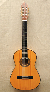 Konzertgitarre nach Daniel Friederich